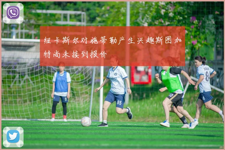 纽卡斯尔对施蒂勒产生兴趣斯图加特尚未接到报价