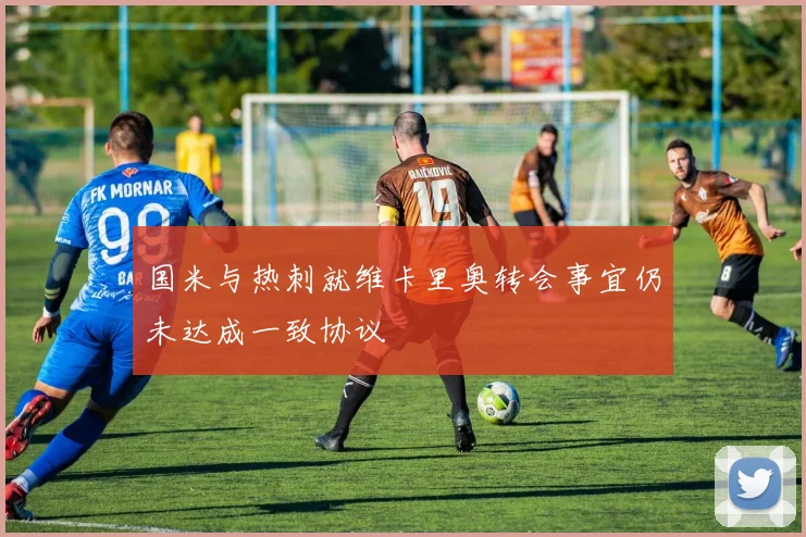 国米与热刺就维卡里奥转会事宜仍未达成一致协议